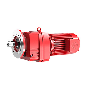 RX 系列斜齒輪減速機(jī)