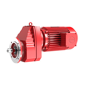 RXF 系列斜齒輪減速機(jī)